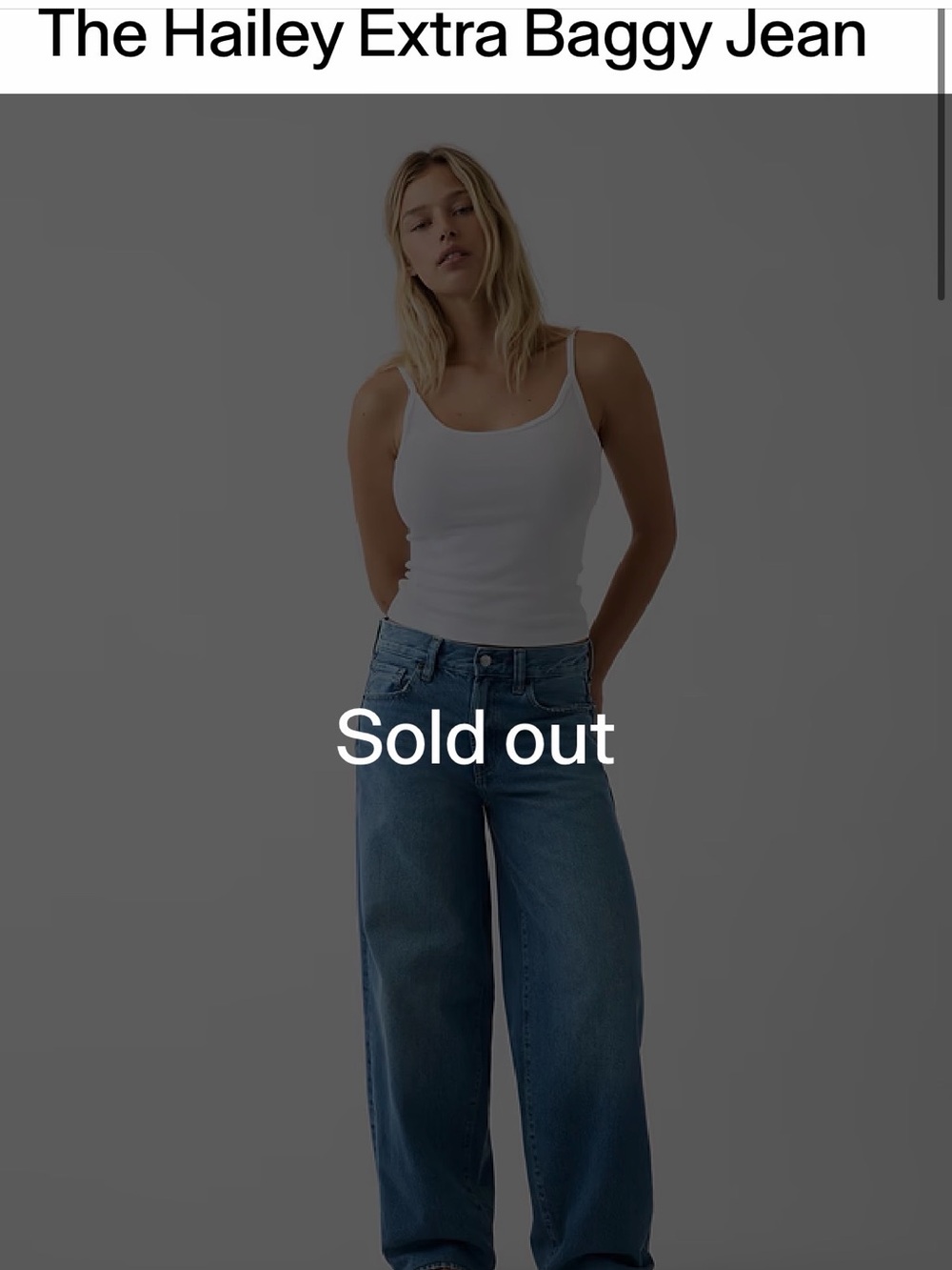 NWT The Hailey Extra Baggy Jean. Size 28. Medium Indigo.